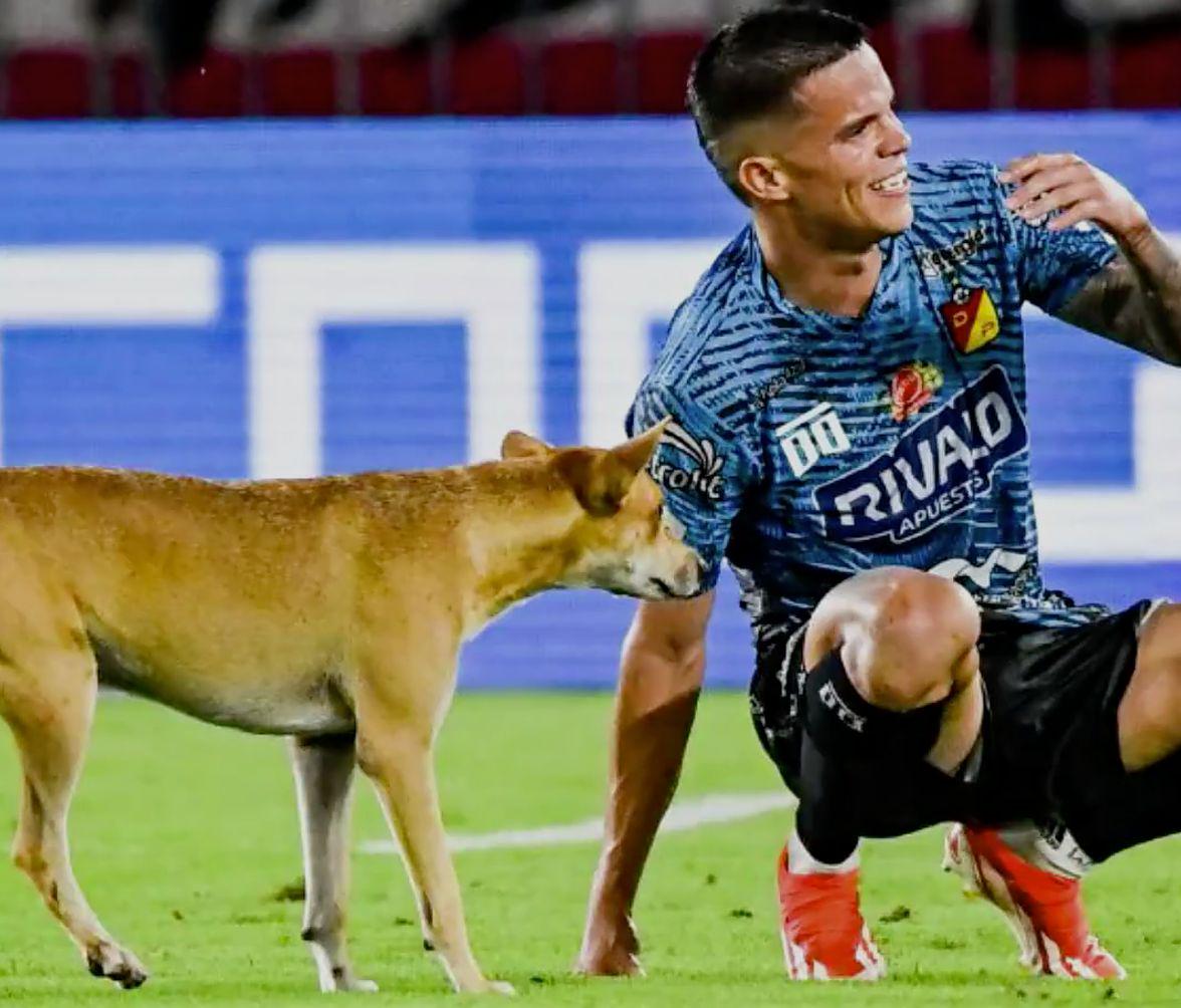 hd, 回到赛场并 hd, 回到赛场并