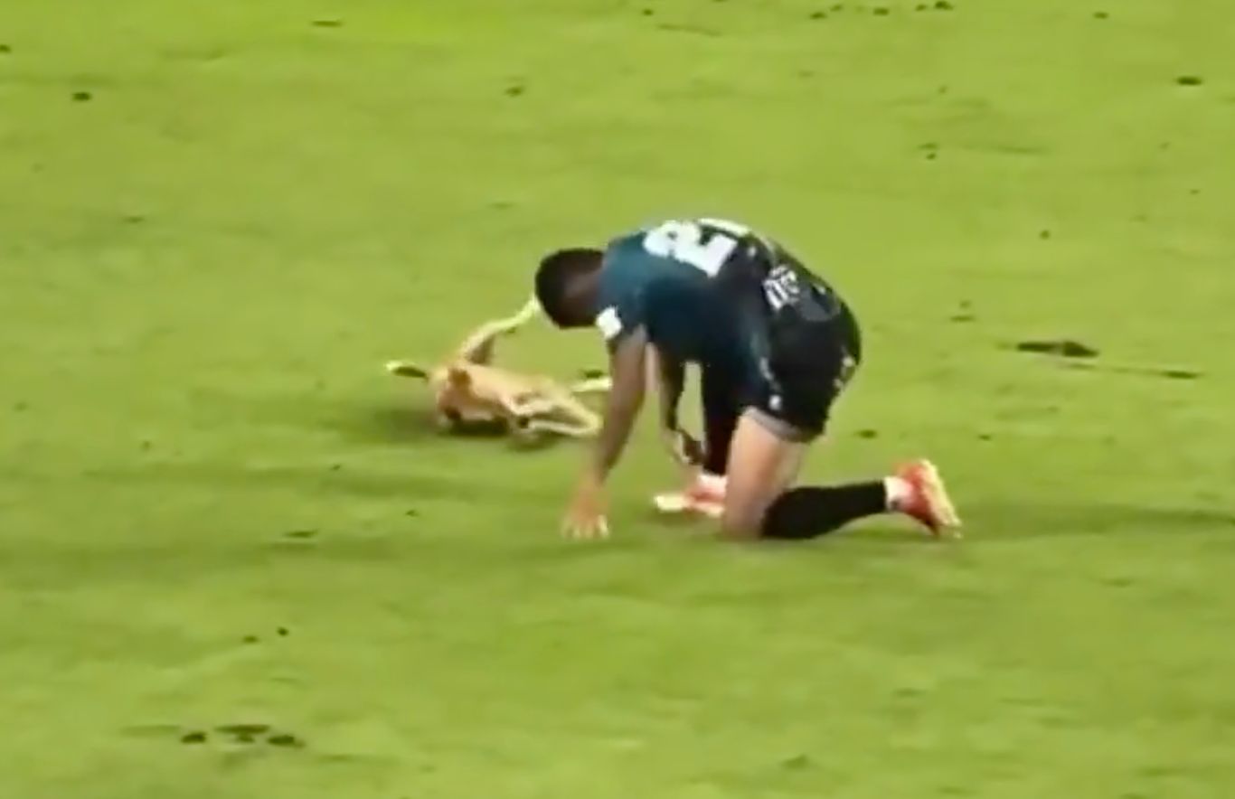 见到一些, zym, src 见到一些, zym, src